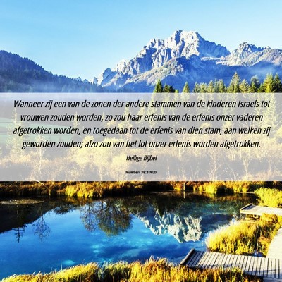 Picture 06 - Numberi 36:3 NLD - Wanneer zij een van de zonen der andere stammen - Bible Verse Picture