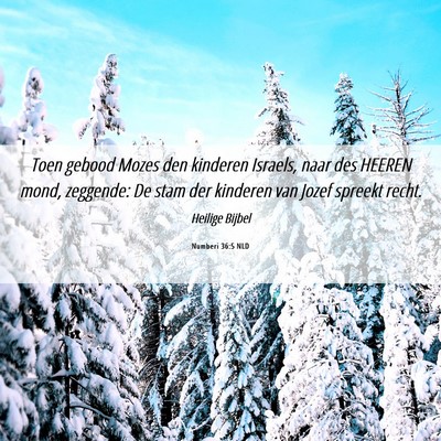 Picture 06 - Numberi 36:5 NLD - Toen gebood Mozes den kinderen Israels, naar des - Bible Verse Picture