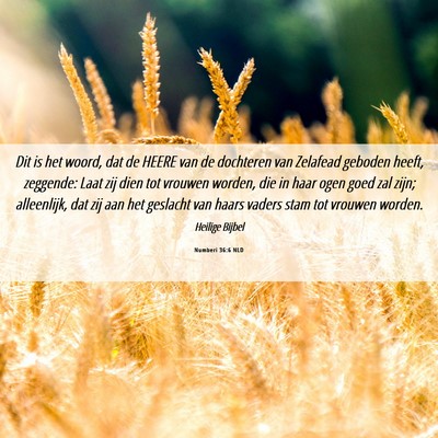 Picture 06 - Numberi 36:6 NLD - Dit is het woord, dat de HEERE van de dochteren - Bible Verse Picture