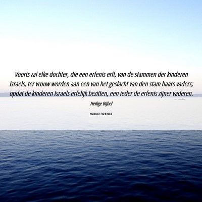 Picture 06 - Numberi 36:8 NLD - Voorts zal elke dochter, die een erfenis erft, - Bible Verse Picture