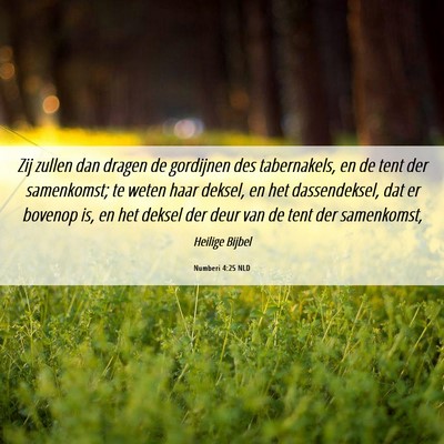 Picture 06 - Numberi 4:25 NLD - Zij zullen dan dragen de gordijnen des - Bible Verse Picture