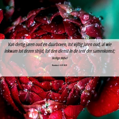 Picture 06 - Numberi 4:43 NLD - Van dertig jaren oud en daarboven, tot vijftig - Bible Verse Picture