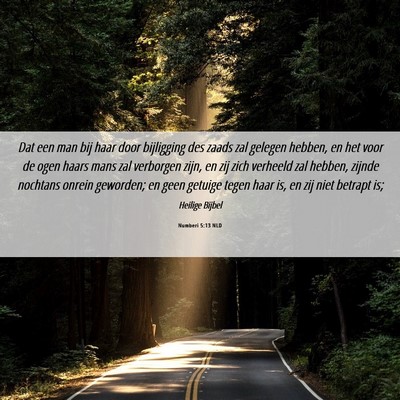 Picture 06 - Numberi 5:13 NLD - Dat een man bij haar door bijligging des zaads - Bible Verse Picture