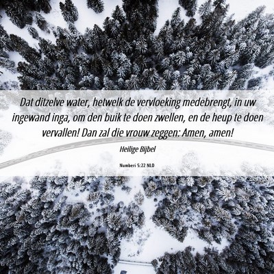 Picture 06 - Numberi 5:22 NLD - Dat ditzelve water, hetwelk de vervloeking - Bible Verse Picture