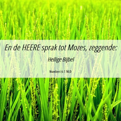 Picture 06 - Numberi 6:1 NLD - En de HEERE sprak tot Mozes, - Bible Verse Picture
