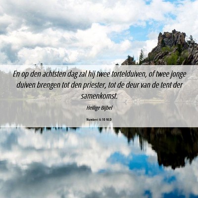 Picture 06 - Numberi 6:10 NLD - En op den achtsten dag zal hij twee tortelduiven, - Bible Verse Picture