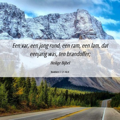Picture 06 - Numberi 7:21 NLD - Een var, een jong rund, een ram, een lam, dat - Bible Verse Picture
