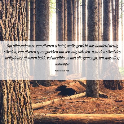 Picture 06 - Numberi 7:25 NLD - Zijn offerande was: een zilveren schotel, welks - Bible Verse Picture