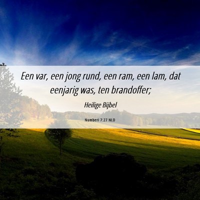 Picture 06 - Numberi 7:27 NLD - Een var, een jong rund, een ram, een lam, dat - Bible Verse Picture