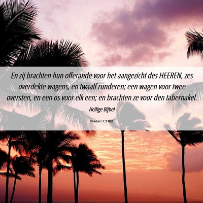 Picture 06 - Numberi 7:3 NLD - En zij brachten hun offerande voor het aangezicht - Bible Verse Picture