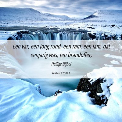 Picture 06 - Numberi 7:33 NLD - Een var, een jong rund, een ram, een lam, dat - Bible Verse Picture