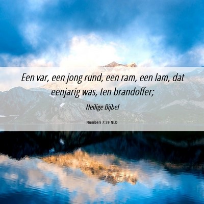 Picture 06 - Numberi 7:39 NLD - Een var, een jong rund, een ram, een lam, dat - Bible Verse Picture