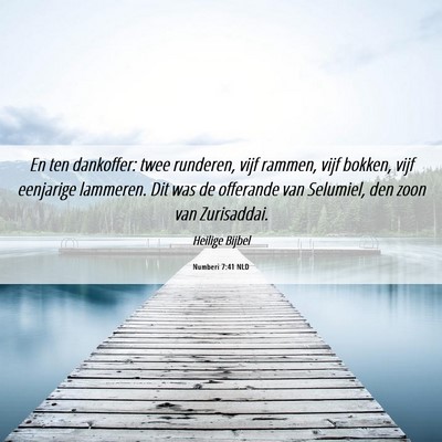 Picture 06 - Numberi 7:41 NLD - En ten dankoffer: twee runderen, vijf rammen, - Bible Verse Picture