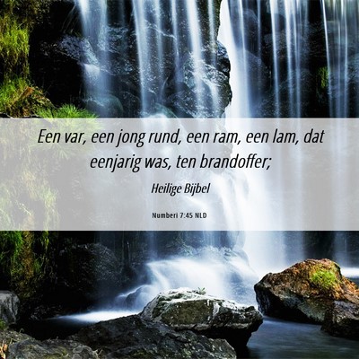 Picture 06 - Numberi 7:45 NLD - Een var, een jong rund, een ram, een lam, dat - Bible Verse Picture