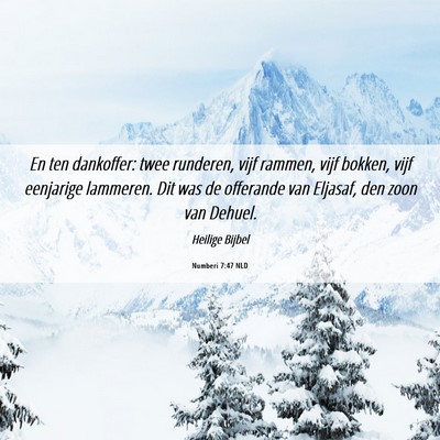 Picture 06 - Numberi 7:47 NLD - En ten dankoffer: twee runderen, vijf rammen, - Bible Verse Picture