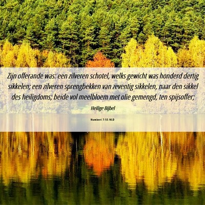 Picture 06 - Numberi 7:55 NLD - Zijn offerande was: een zilveren schotel, welks - Bible Verse Picture