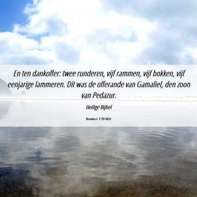 Picture 06 - Numberi 7:59 NLD - En ten dankoffer: twee runderen, vijf rammen, - Bible Verse Picture