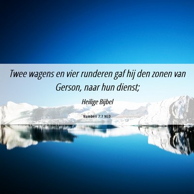 Picture 06 - Numberi 7:7 NLD - Twee wagens en vier runderen gaf hij den zonen - Bible Verse Picture