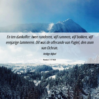 Picture 06 - Numberi 7:77 NLD - En ten dankoffer: twee runderen, vijf rammen, - Bible Verse Picture