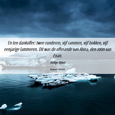 Picture 06 - Numberi 7:83 NLD - En ten dankoffer: twee runderen, vijf rammen, - Bible Verse Picture