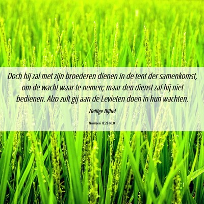 Picture 06 - Numberi 8:26 NLD - Doch hij zal met zijn broederen dienen in de tent - Bible Verse Picture