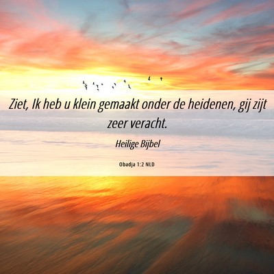 Picture 06 - Obadja 1:2 NLD - Ziet, Ik heb u klein gemaakt onder de heidenen, - Bible Verse Picture