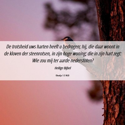 Picture 06 - Obadja 1:3 NLD - De trotsheid uws harten heeft u bedrogen; hij, - Bible Verse Picture