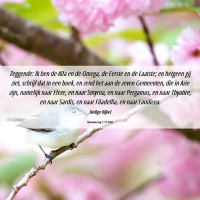 Picture 06 - Openbaring 1:11 NLD - Zeggende: Ik ben de Alfa en de Omega, de Eerste - Bible Verse Picture