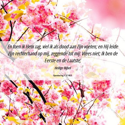 Picture 06 - Openbaring 1:17 NLD - En toen ik Hem zag, viel ik als dood aan Zijn - Bible Verse Picture