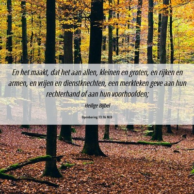 Picture 06 - Openbaring 13:16 NLD - En het maakt, dat het aan allen, kleinen en - Bible Verse Picture