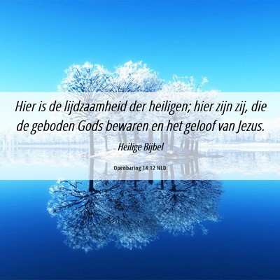 Picture 06 - Openbaring 14:12 NLD - Hier is de lijdzaamheid der heiligen; hier zijn - Bible Verse Picture