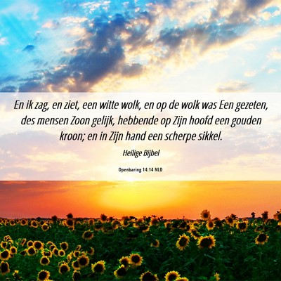 Picture 06 - Openbaring 14:14 NLD - En ik zag, en ziet, een witte wolk, en op de wolk - Bible Verse Picture