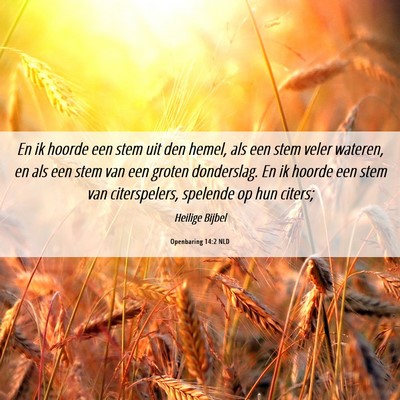 Picture 06 - Openbaring 14:2 NLD - En ik hoorde een stem uit den hemel, als een stem - Bible Verse Picture