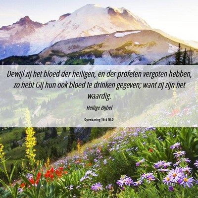 Picture 06 - Openbaring 16:6 NLD - Dewijl zij het bloed der heiligen, en der - Bible Verse Picture
