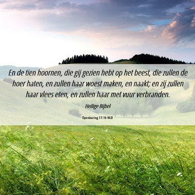 Picture 06 - Openbaring 17:16 NLD - En de tien hoornen, die gij gezien hebt op het - Bible Verse Picture