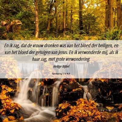 Picture 06 - Openbaring 17:6 NLD - En ik zag, dat de vrouw dronken was van het bloed - Bible Verse Picture