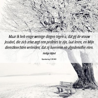 Picture 06 - Openbaring 2:20 NLD - Maar Ik heb enige weinige dingen tegen u, dat gij - Bible Verse Picture