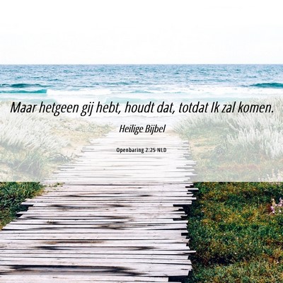Picture 06 - Openbaring 2:25 NLD - Maar hetgeen gij hebt, houdt dat, totdat Ik zal - Bible Verse Picture