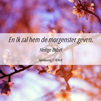 Picture 06 - Openbaring 2:28 NLD - En Ik zal hem de morgenster - Bible Verse Picture