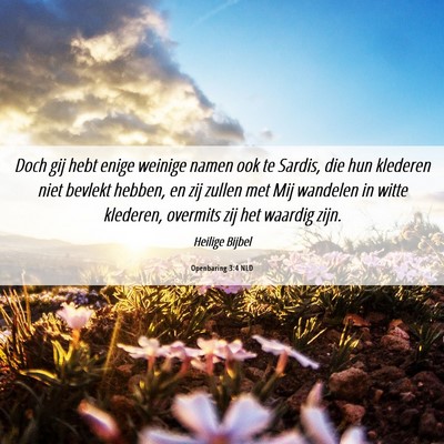 Picture 06 - Openbaring 3:4 NLD - Doch gij hebt enige weinige namen ook te Sardis, - Bible Verse Picture