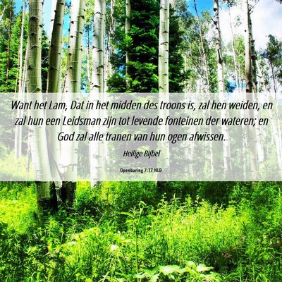 Picture 06 - Openbaring 7:17 NLD - Want het Lam, Dat in het midden des troons is, - Bible Verse Picture