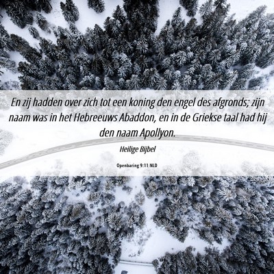 Picture 06 - Openbaring 9:11 NLD - En zij hadden over zich tot een koning den engel - Bible Verse Picture
