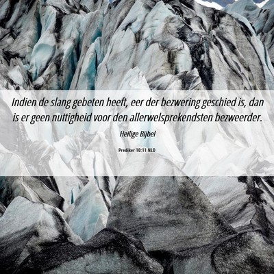 Picture 06 - Prediker 10:11 NLD - Indien de slang gebeten heeft, eer der bezwering - Bible Verse Picture