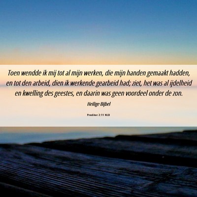 Picture 06 - Prediker 2:11 NLD - Toen wendde ik mij tot al mijn werken, die mijn - Bible Verse Picture