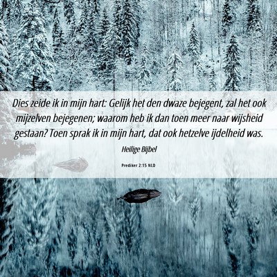 Picture 06 - Prediker 2:15 NLD - Dies zeide ik in mijn hart: Gelijk het den dwaze - Bible Verse Picture