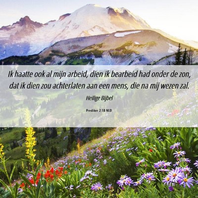 Picture 06 - Prediker 2:18 NLD - Ik haatte ook al mijn arbeid, dien ik bearbeid - Bible Verse Picture