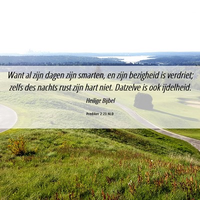 Picture 06 - Prediker 2:23 NLD - Want al zijn dagen zijn smarten, en zijn - Bible Verse Picture