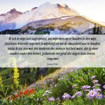 Picture 06 - Prediker 2:3 NLD - Ik heb in mijn hart nagespeurd, om mijn vlees op - Bible Verse Picture