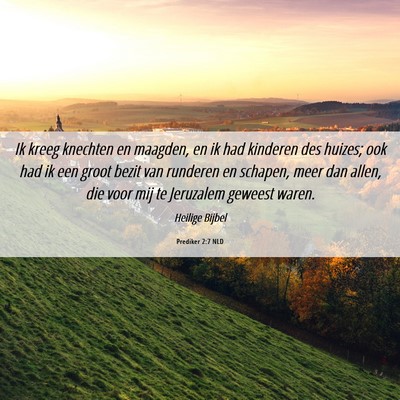Picture 06 - Prediker 2:7 NLD - Ik kreeg knechten en maagden, en ik had kinderen - Bible Verse Picture