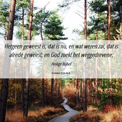 Picture 06 - Prediker 3:15 NLD - Hetgeen geweest is, dat is nu, en wat wezen zal, - Bible Verse Picture